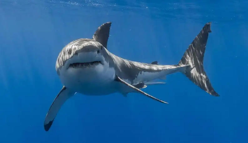 四川嘉裕福華商貿有限公司輪播圖4